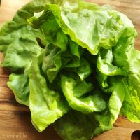 Boston Lettuce