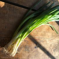 Scallions