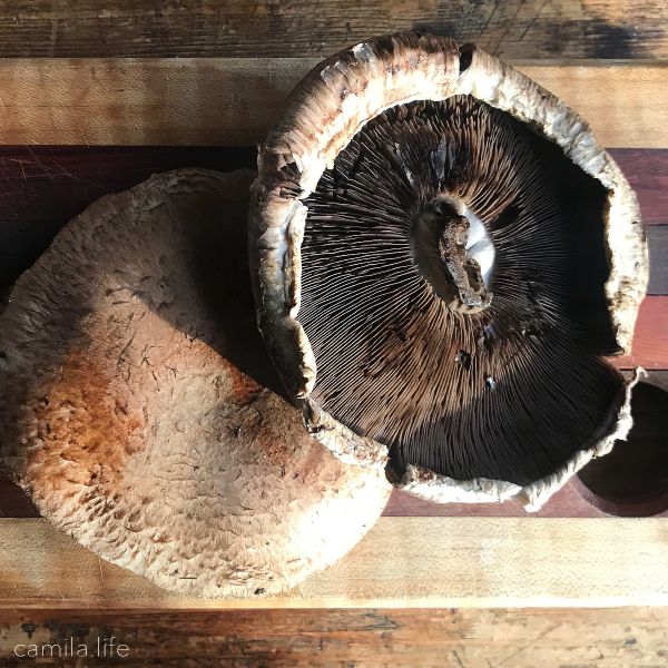 Portobello Mushrooms - Vegan Ingredient on camila.life