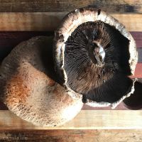 Portobello Mushrooms