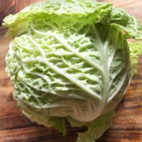 Savoy Cabbage