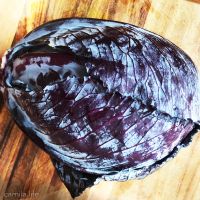 Red Cabbage