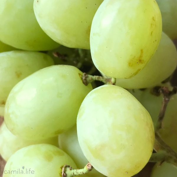 Green Grapes - Vegan Ingredient on camila.life