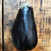 Eggplant