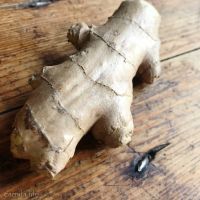 Ginger Root