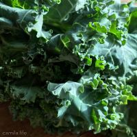 Green Kale